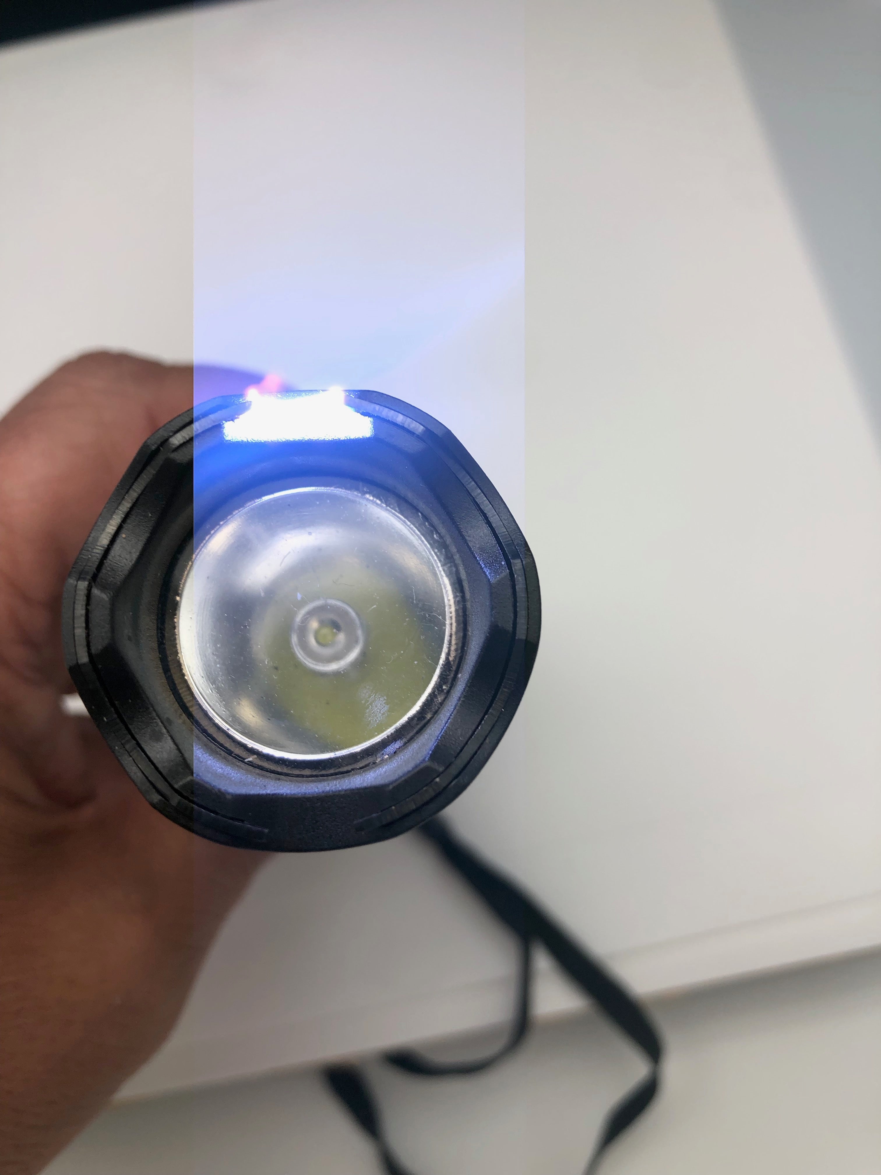 FLASHLIGHT PLUS